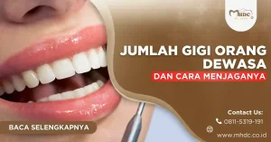 jumlah gigi orang dewasa