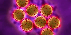 rotavirus